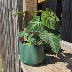 Ribbed Modern Ceramic Pottery 6" Planter